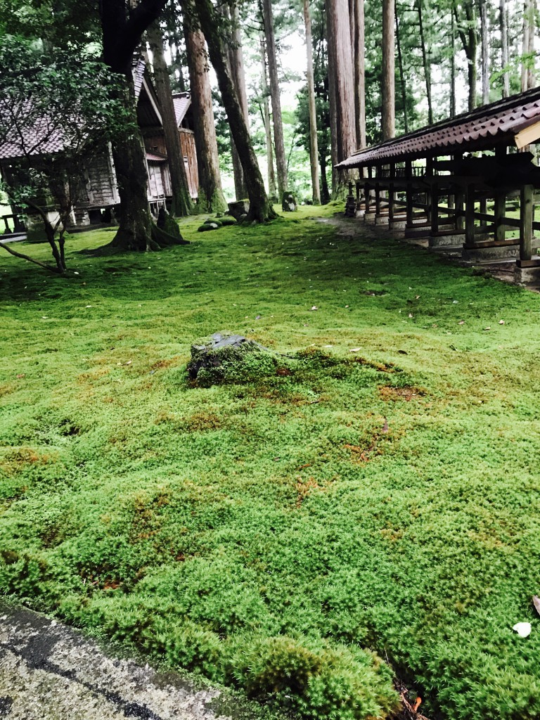 建物外観写真